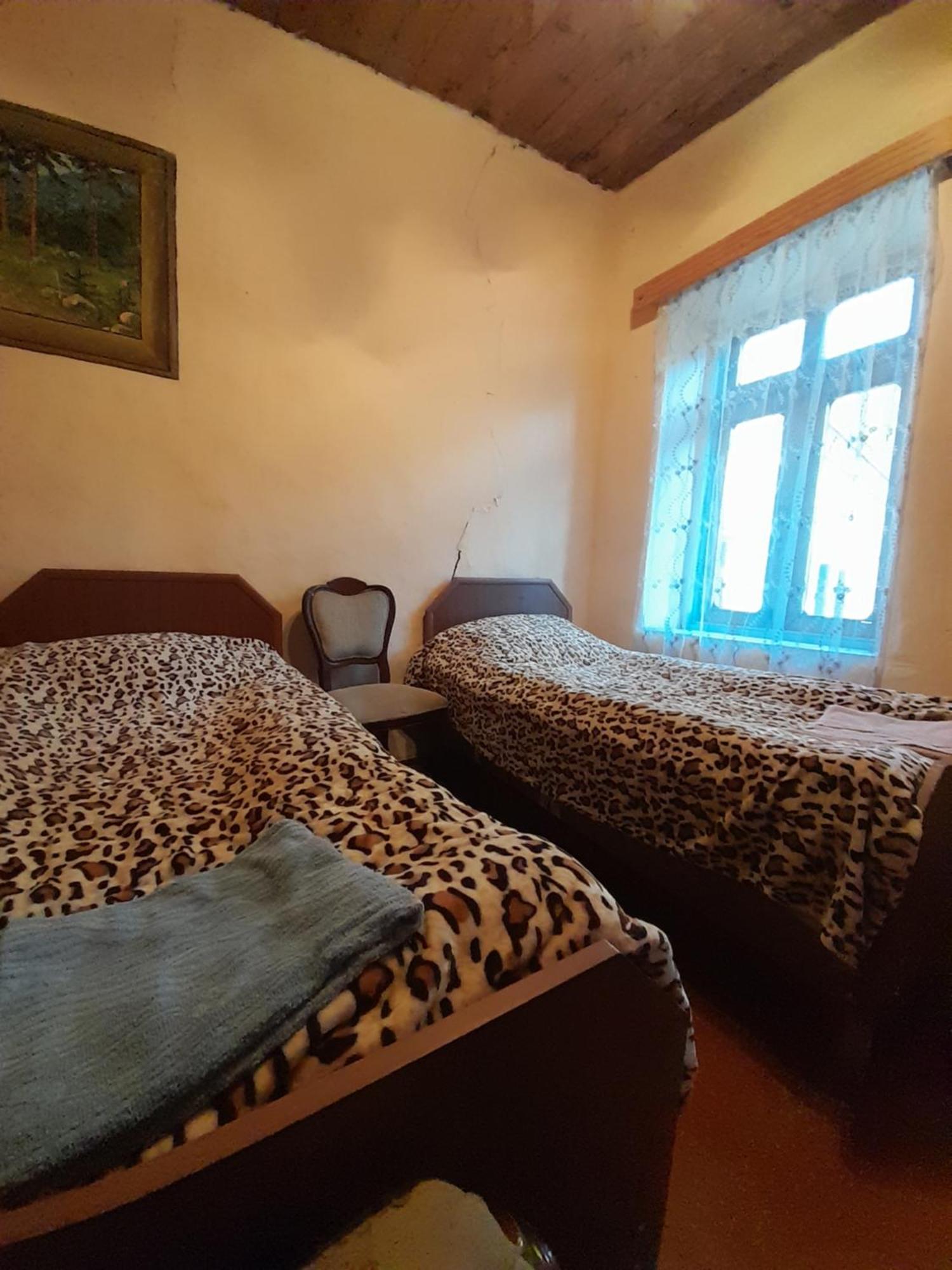 Adishi Guest House Zhora Kaldani מראה חיצוני תמונה